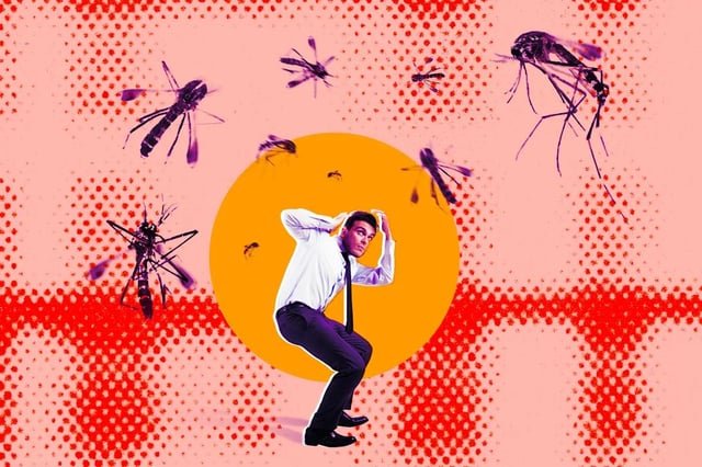 La gente no está contenta con el plan de Google de liberar millones de mosquitos bioingenierizados