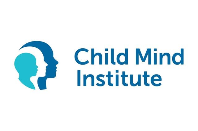 Identifican dos subtipos biológicos de autismo con patrones opuestos de conectividad cerebral