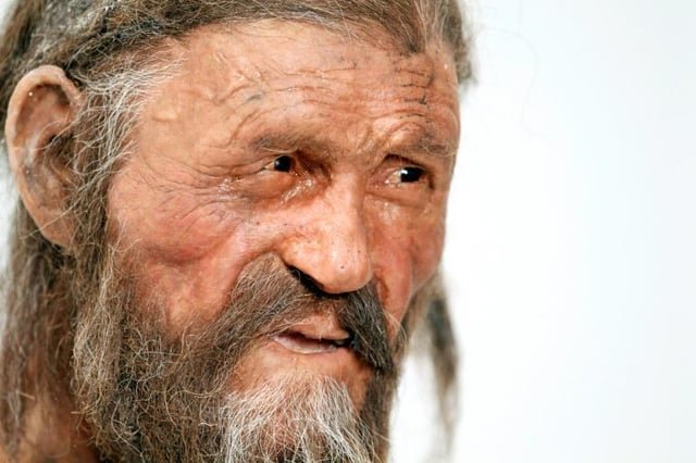 Descubren levadura viva en los intestinos de Ötzi y elaboran pan de masa madre