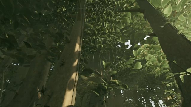 Claude construye una jungla transitable sin recursos gráficos, solo con código