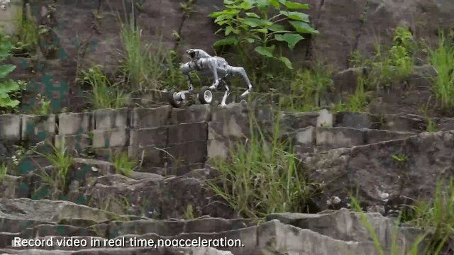 No puedes dejar atrás a este perro robot
